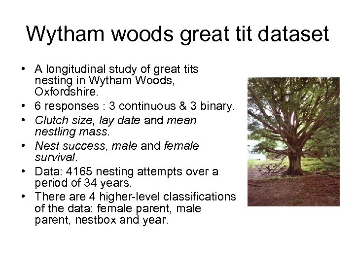 Wytham woods great tit dataset • A longitudinal study of great tits nesting in