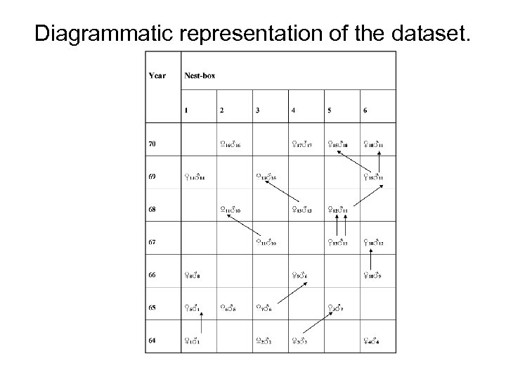 Diagrammatic representation of the dataset. 