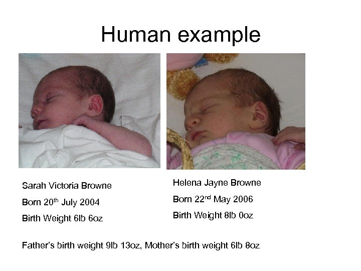 Human example Sarah Victoria Browne Helena Jayne Browne Born 20 th July 2004 Born