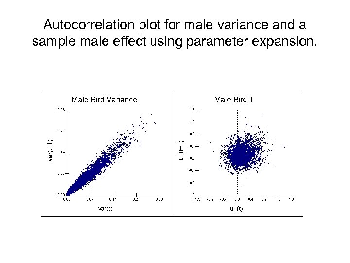 Autocorrelation plot for male variance and a sample male effect using parameter expansion. 