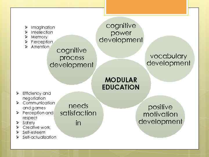 Ø Ø Ø cognitive power development Imagination Intellection Memory Perception Attention cognitive process development