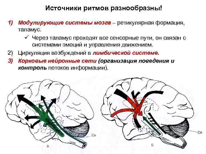 Признаки дезорганизации активности головного мозга