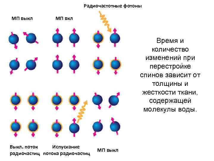 Радиочастотные фотоны МП выкл МП вкл Время и количество изменений при перестройке спинов зависит