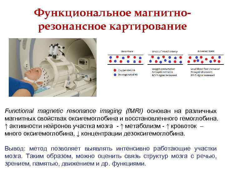 Функциональное магнитнорезонансное картирование Functional magnetic resonance imaging (f. MRI) основан на различных магнитных свойствах