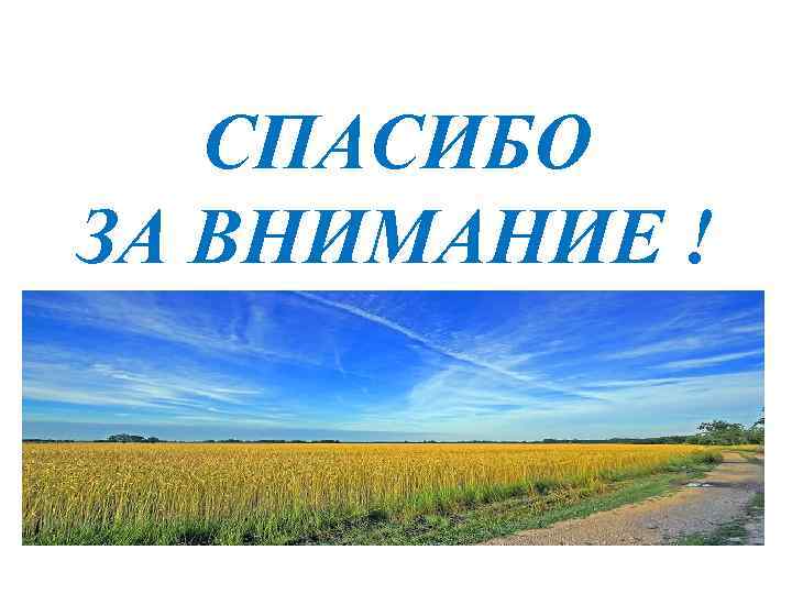 СПАСИБО ЗА ВНИМАНИЕ ! 