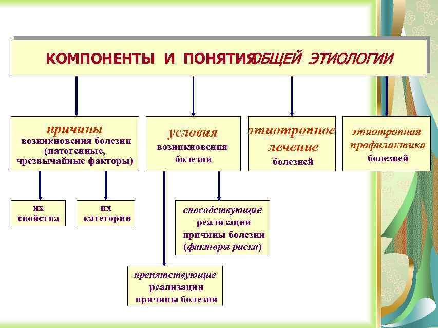 КОМПОНЕНТЫ И ПОНЯТИЯ ОБЩЕЙ ЭТИОЛОГИИ причины возникновения болезни (патогенные, чрезвычайные факторы) их свойства их