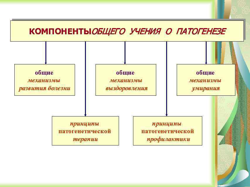 КОМПОНЕНТЫОБЩЕГО УЧЕНИЯ О ПАТОГЕНЕЗЕ общие механизмы развития болезни общие механизмы выздоровления принципы патогенетической терапии