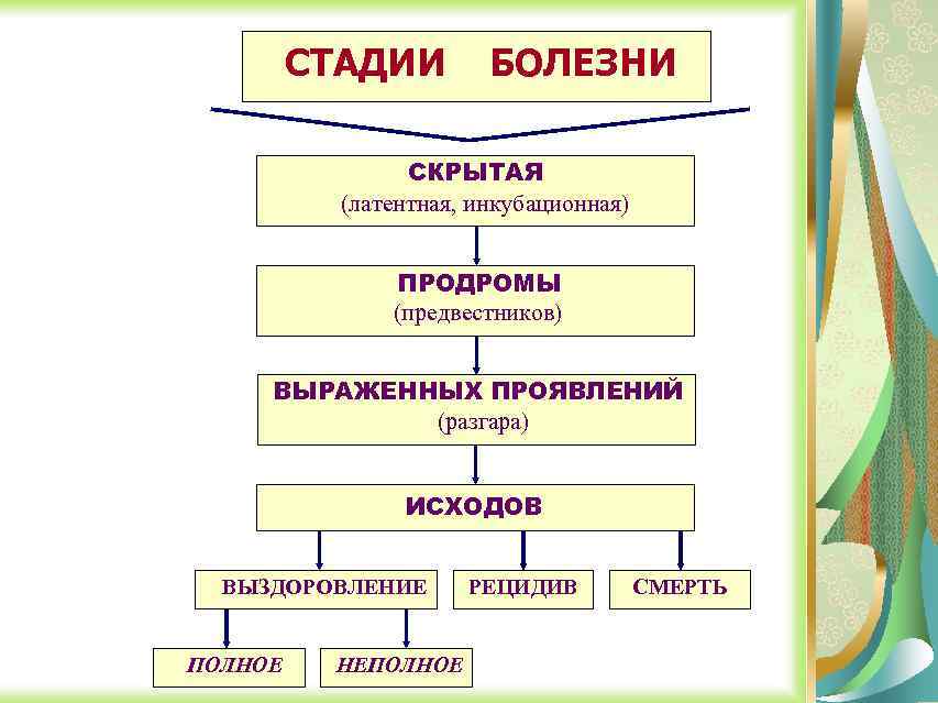 СТАДИИ БОЛЕЗНИ СКРЫТАЯ (латентная, инкубационная) ПРОДРОМЫ (предвестников) ВЫРАЖЕННЫХ ПРОЯВЛЕНИЙ (разгара) ИСХОДОВ ВЫЗДОРОВЛЕНИЕ ПОЛНОЕ НЕПОЛНОЕ