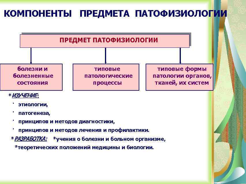 Компоненты предметов