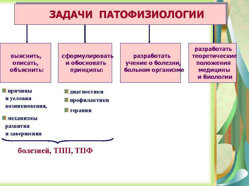 ЗАДАЧИ ПАТОФИЗИОЛОГИИ выяснить, описать, объяснить: сформулировать и обосновать принципы: причины и условия возникновения, диагностики