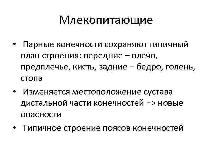 Млекопитающие • Парные конечности сохраняют типичный план строения: передние – плечо, предплечье, кисть, задние
