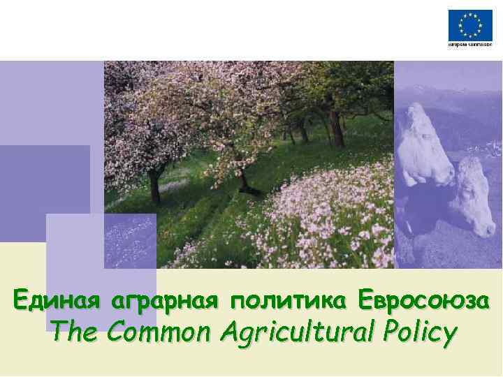 Единая аграрная политика Евросоюза The Common Agricultural Policy 