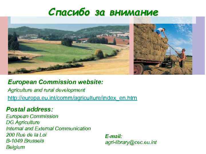 Спасибо за внимание European Commission website: Agriculture and rural development http: //europa. eu. int/comm/agriculture/index_en.