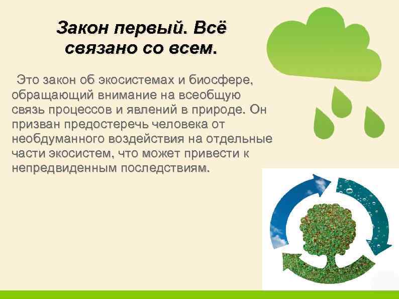 Закон первый. Всё связано со всем. Это закон об экосистемах и биосфере, обращающий внимание