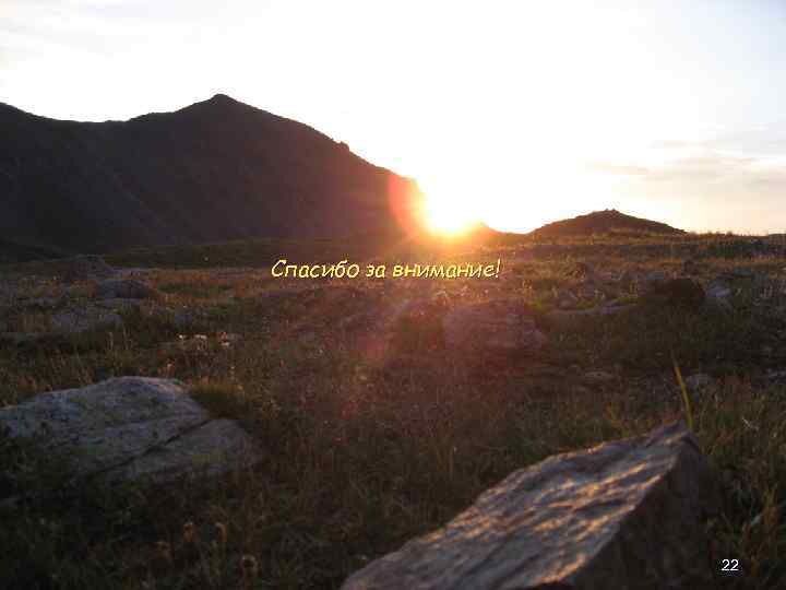 Спасибо за внимание! 22 
