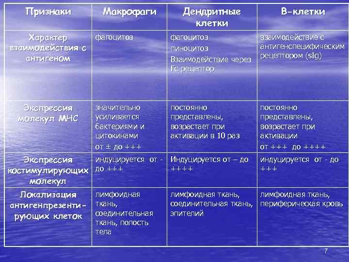 Признаки Макрофаги фагоцитоз Характер взаимодействия с антигеном Экспрессия молекул МНС значительно усиливается бактериями и