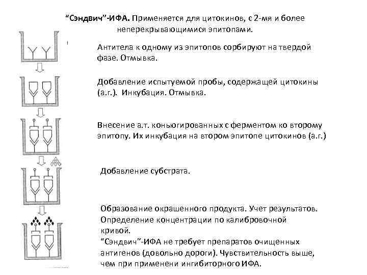 Необходимые ингредиенты особенности и схема постановки неконкурентного ифа методом сэндвича