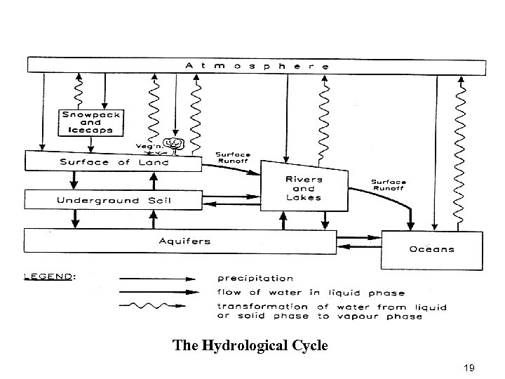 The Hydrological Cycle 19 