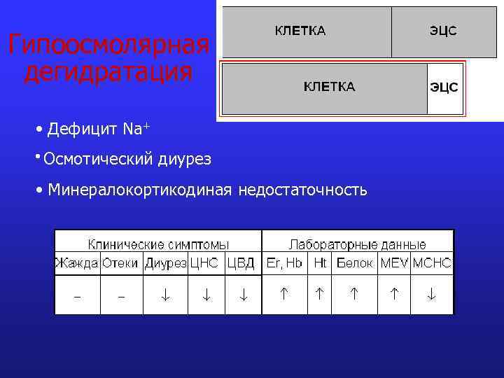 Гипоосмолярная дегидратация • Дефицит Na+ • Осмотический диурез • Минералокортикодиная недостаточность 