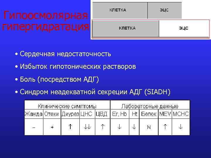 Гипоосмолярная гипергидратация • Сердечная недостаточность • Избыток гипотонических растворов • Боль (посредством АДГ) •