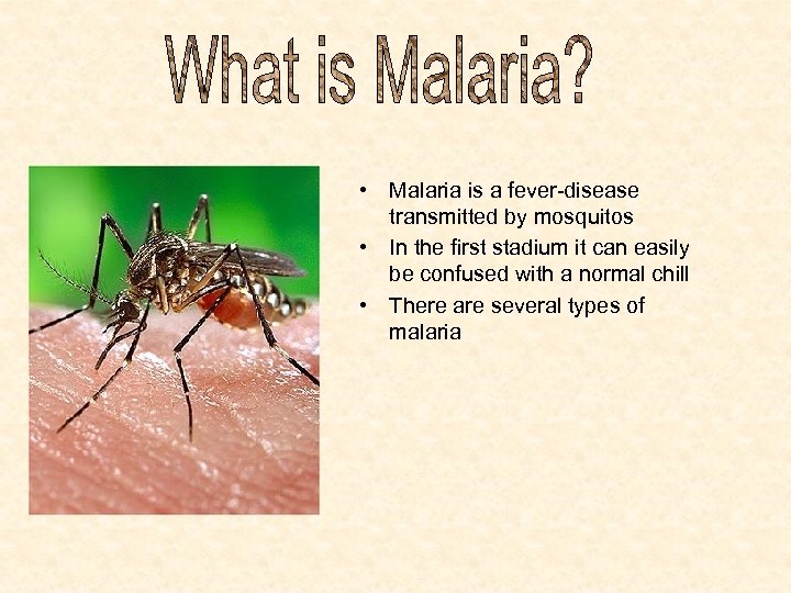  • Malaria is a fever-disease transmitted by mosquitos • In the first stadium