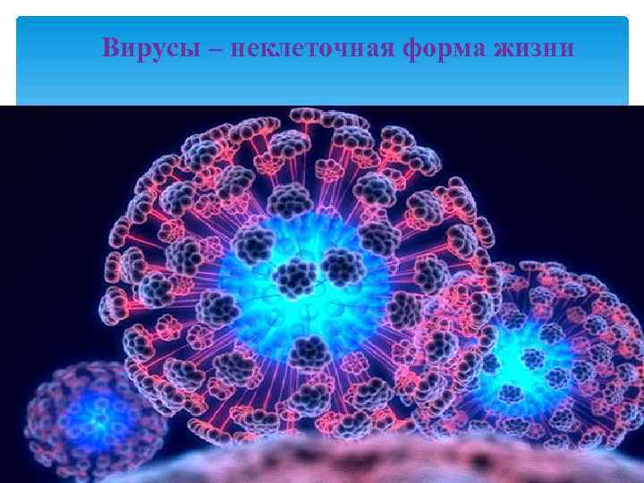 Вирусы – неклеточная форма жизни 