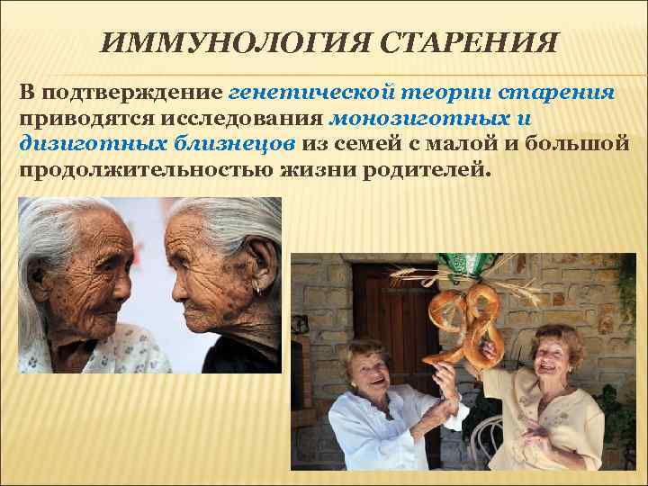 ИММУНОЛОГИЯ СТАРЕНИЯ В подтверждение генетической теории старения приводятся исследования монозиготных и дизиготных близнецов из