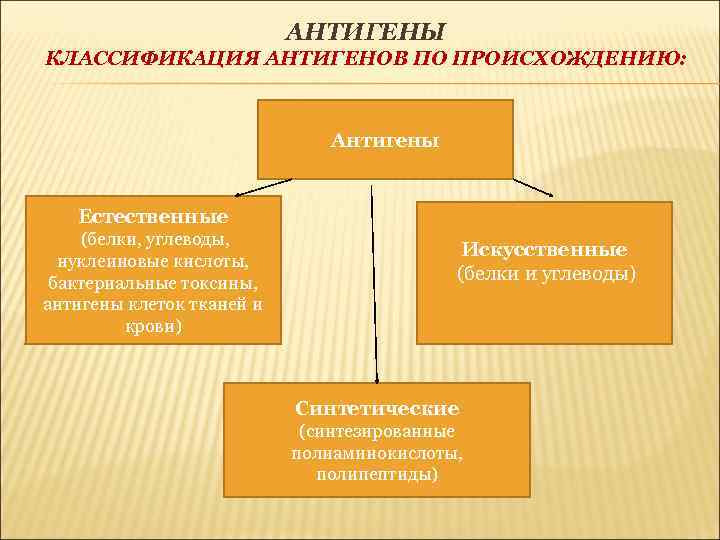 АНТИГЕНЫ КЛАССИФИКАЦИЯ АНТИГЕНОВ ПО ПРОИСХОЖДЕНИЮ: Антигены Естественные (белки, углеводы, нуклеиновые кислоты, бактериальные токсины, антигены