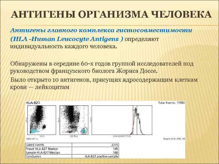 АНТИГЕНЫ ОРГАНИЗМА ЧЕЛОВЕКА Антигены главного комплекса гистосовместимости (HLA -Human Leucocyte Antigens ) определяют индивидуальность