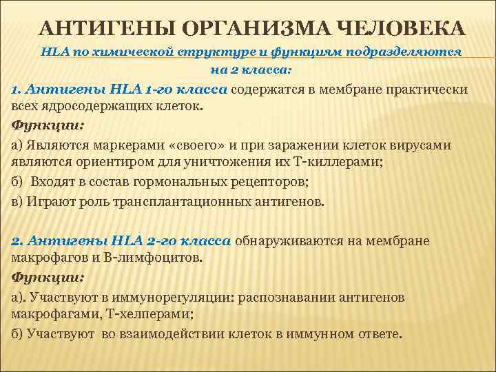 АНТИГЕНЫ ОРГАНИЗМА ЧЕЛОВЕКА HLA по химической структуре и функциям подразделяются на 2 класса: 1.