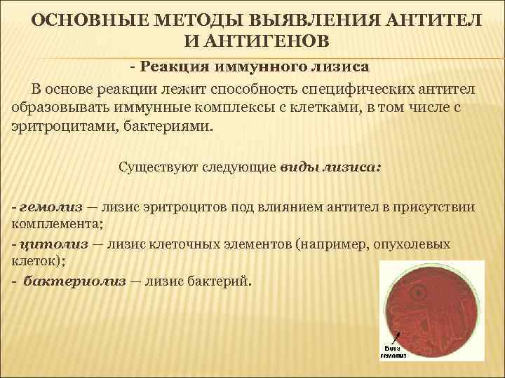 ОСНОВНЫЕ МЕТОДЫ ВЫЯВЛЕНИЯ АНТИТЕЛ И АНТИГЕНОВ - Реакция иммунного лизиса В основе реакции лежит