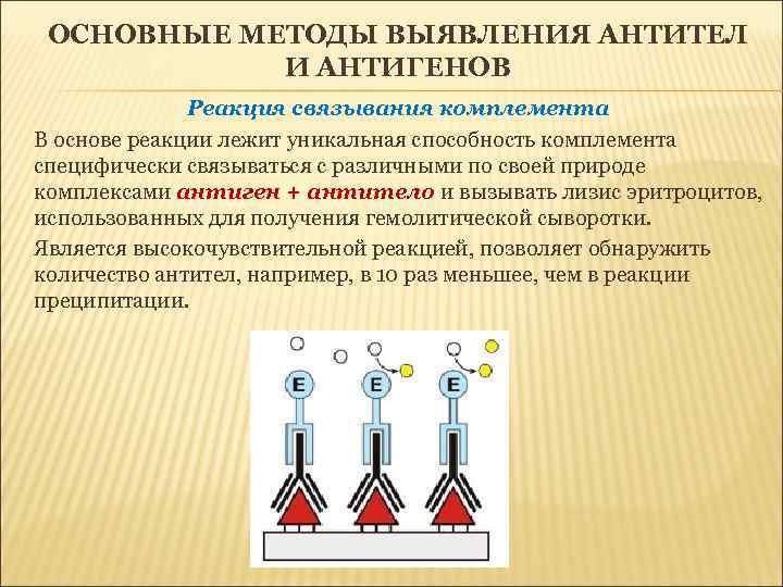 ОСНОВНЫЕ МЕТОДЫ ВЫЯВЛЕНИЯ АНТИТЕЛ И АНТИГЕНОВ Реакция связывания комплемента В основе реакции лежит уникальная