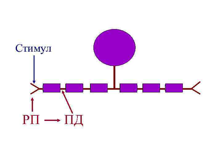 Стимул РП ПД 