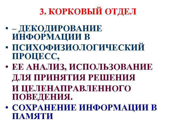 3. КОРКОВЫЙ ОТДЕЛ • – ДЕКОДИРОВАНИЕ ИНФОРМАЦИИ В • ПСИХОФИЗИОЛОГИЧЕСКИЙ ПРОЦЕСС, • ЕЕ АНАЛИЗ,