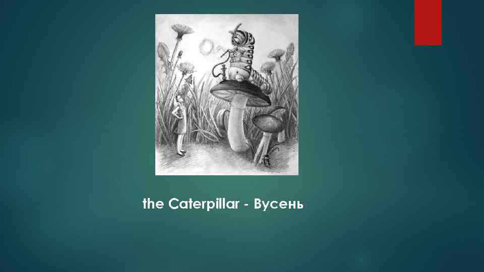 the Caterpillar - Вусень 