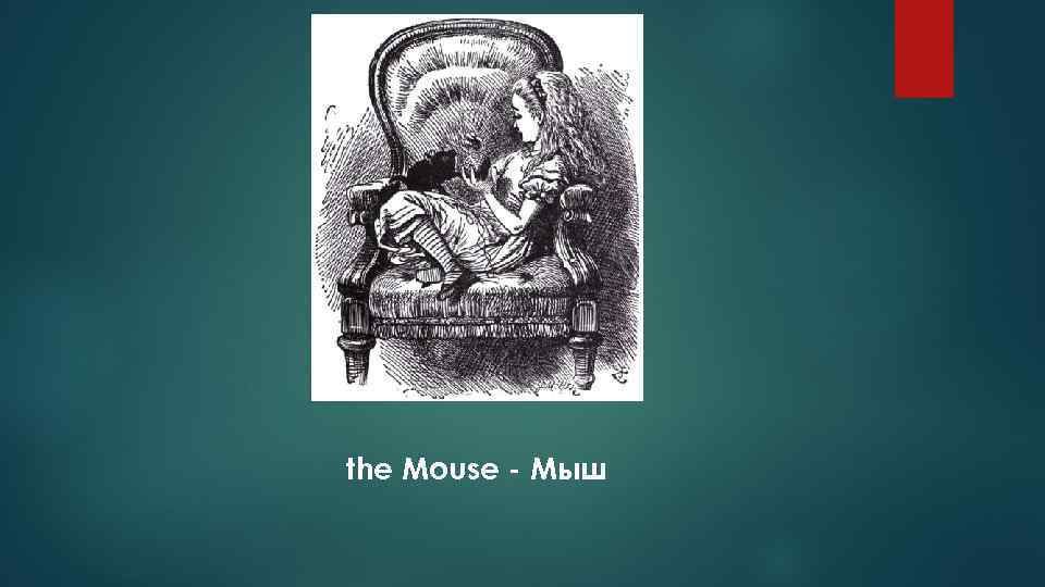 the Mouse - Мыш 