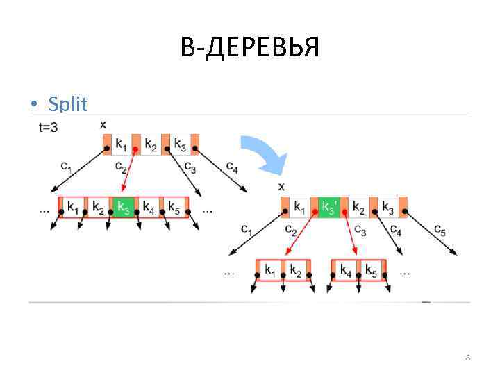 B-ДЕРЕВЬЯ • Split 8 
