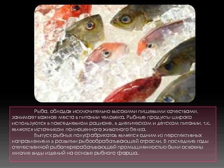 Рыба, обладая исключительно высокими пищевыми качествами, занимает важное место в питании человека. Рыбные продукты