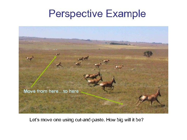 Perspective Example Move from here…to here Let’s move one using cut-and-paste. How big will