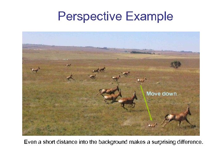 Perspective Example Move down Even a short distance into the background makes a surprising