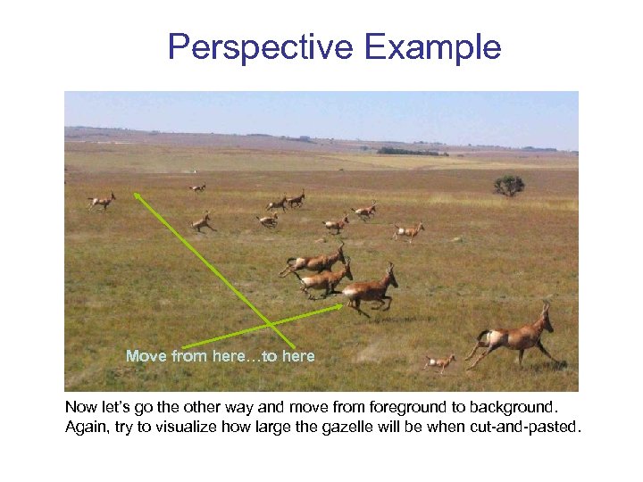 Perspective Example Move from here…to here Now let’s go the other way and move