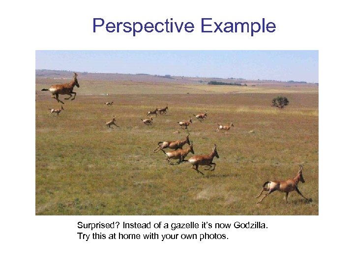 Perspective Example Surprised? Instead of a gazelle it’s now Godzilla. Try this at home
