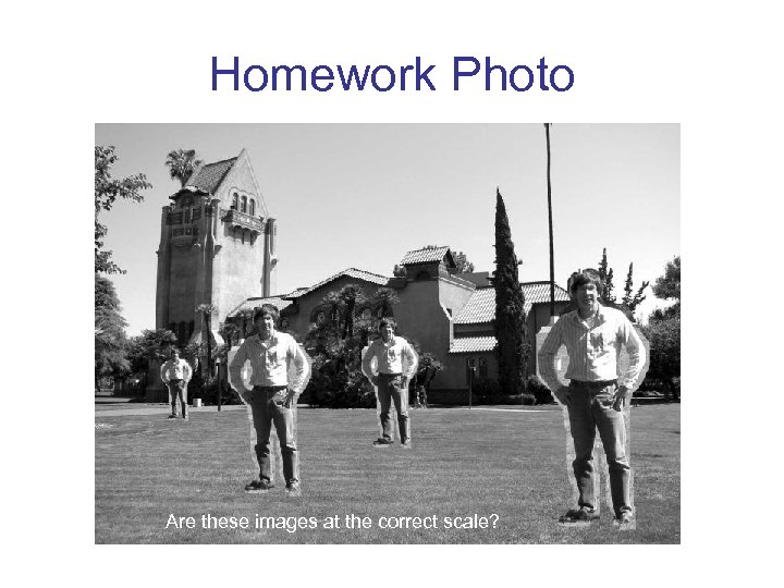Homework Photo Are these images at the correct scale? 