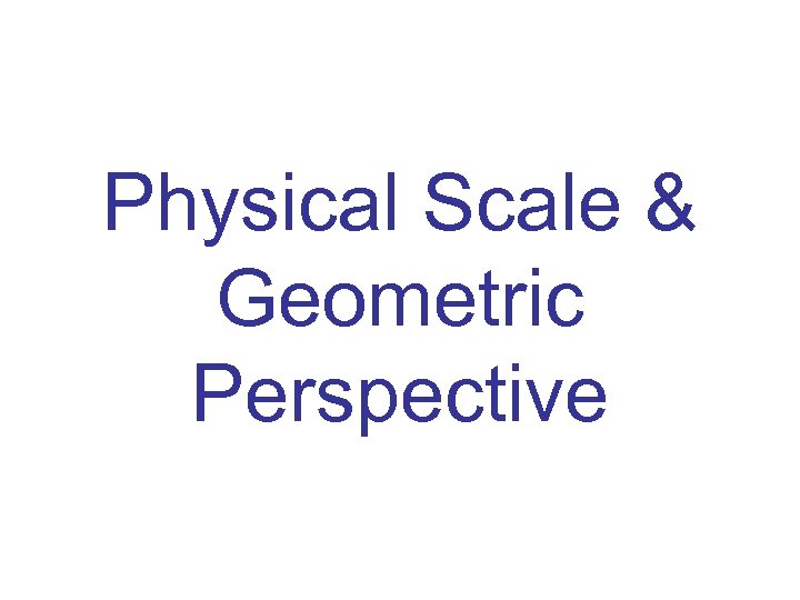 Physical Scale & Geometric Perspective 