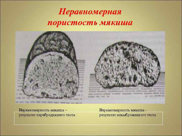 Меловая болезнь хлеба фото