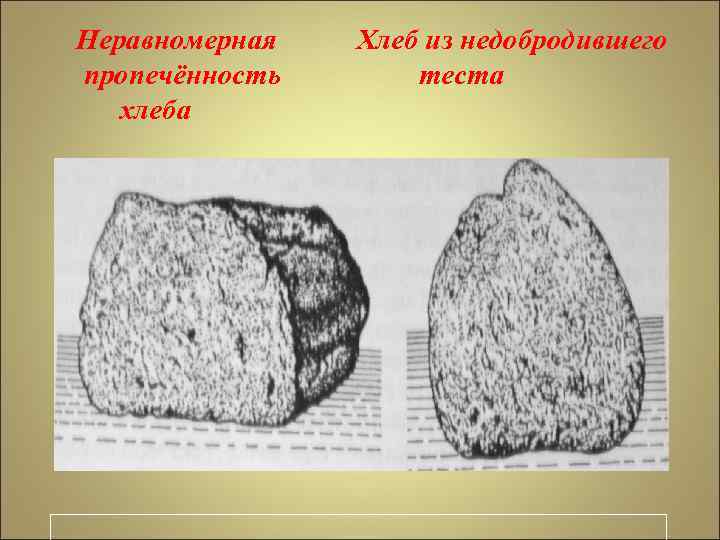 Меловая болезнь хлеба фото