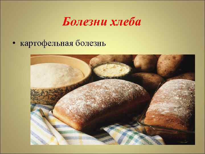 Проект болезнь хлеба