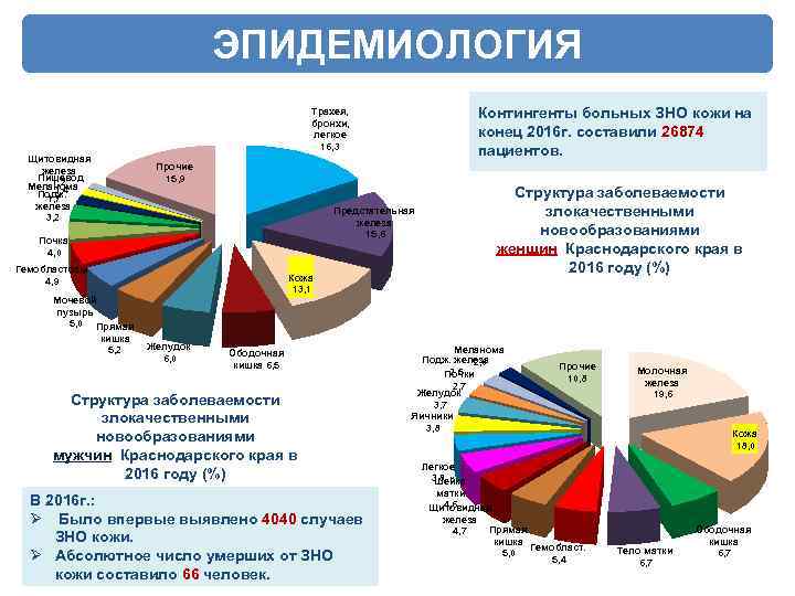 ЭПИДЕМИОЛОГИЯ Контингенты больных ЗНО кожи на конец 2016 г. составили 26874 пациентов. Трахея, бронхи,