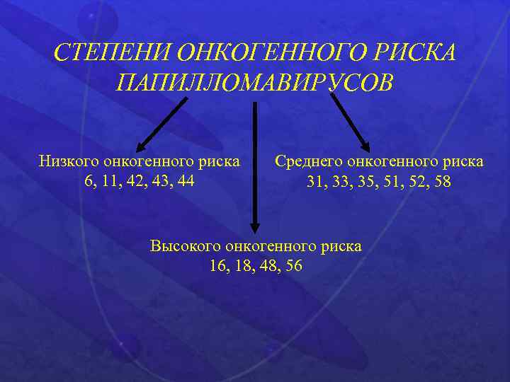 СТЕПЕНИ ОНКОГЕННОГО РИСКА ПАПИЛЛОМАВИРУСОВ Низкого онкогенного риска 6, 11, 42, 43, 44 Среднего онкогенного