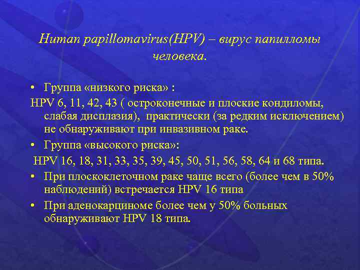 Human papillomavirus(HPV) – вирус папилломы человека. • Группа «низкого риска» : HPV 6, 11,